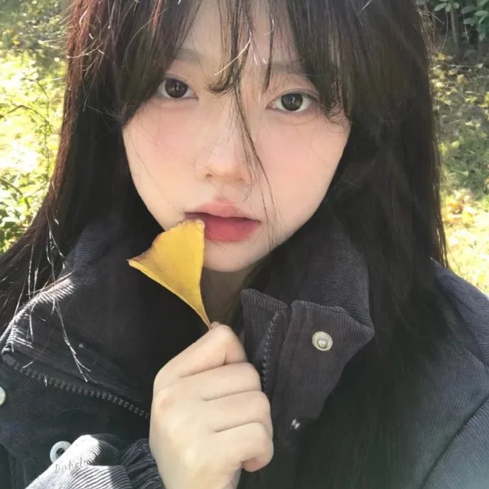 风华永驻 海报